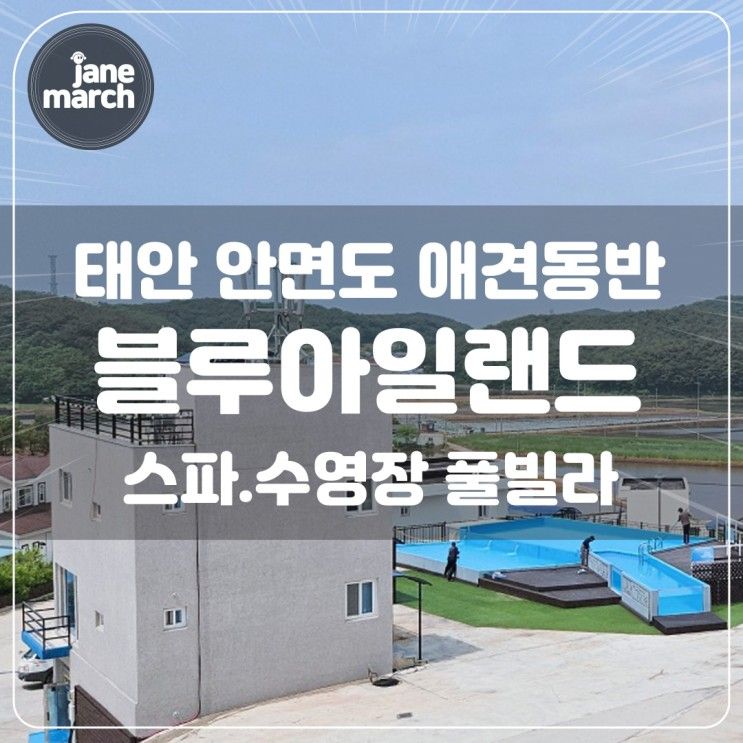 태안 안면도 애견동반 풀빌라 '블루아일랜드' 스파 수영장 펜션