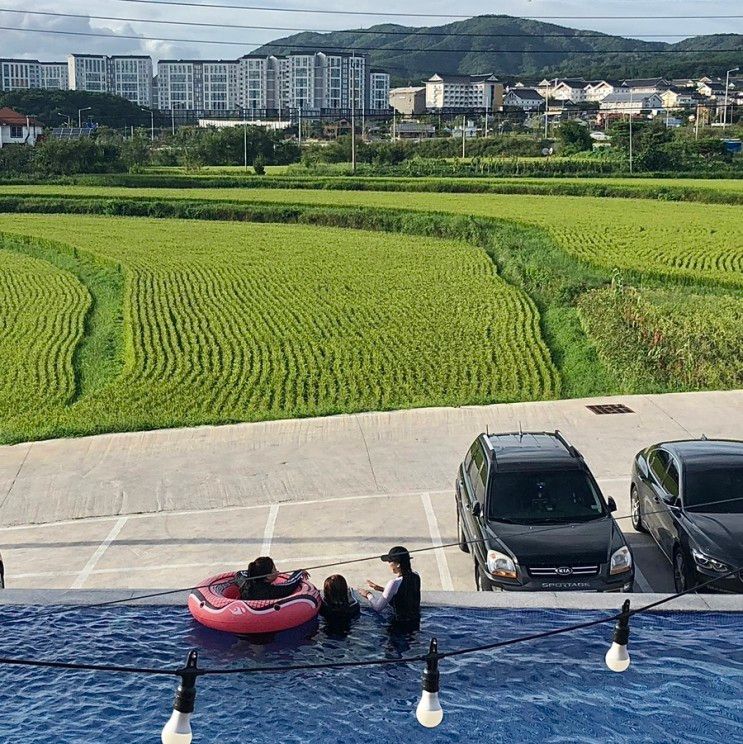 경주 “도도펜션” 블리스 203 재방문 솔직후기