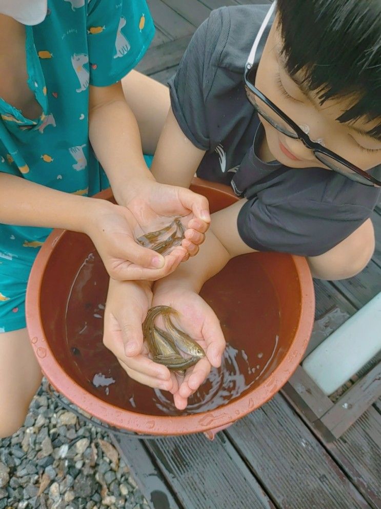 주말여행 2) 단양오투펜션에서 가족과 즐거운 시간을 보내다