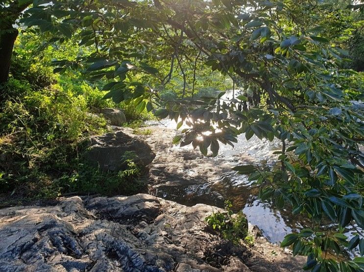 [충남/공주] 공주 계룡산 국립공원 온돌펜션 상신흙집펜션