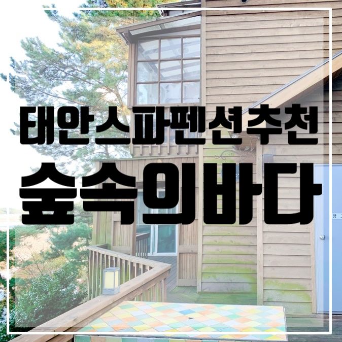 태안 가족여행 펜션 추천 <숲속의바다>/가족여행숙소/태안펜션...