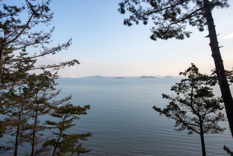 태안스파펜션 솔향과 따듯한 쉼이 그리고 바다가 있는 숙소....