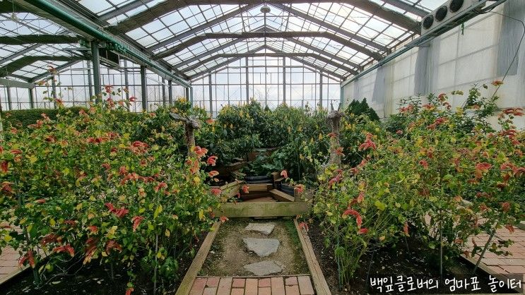 아산 아이와 함께 가볼만한곳 추천 세계꽃식물원 리아프가든센터