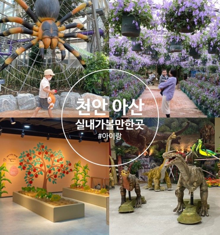세계꽃식물원 등 천안 아산 아이랑 실내 가볼만한곳 리스트