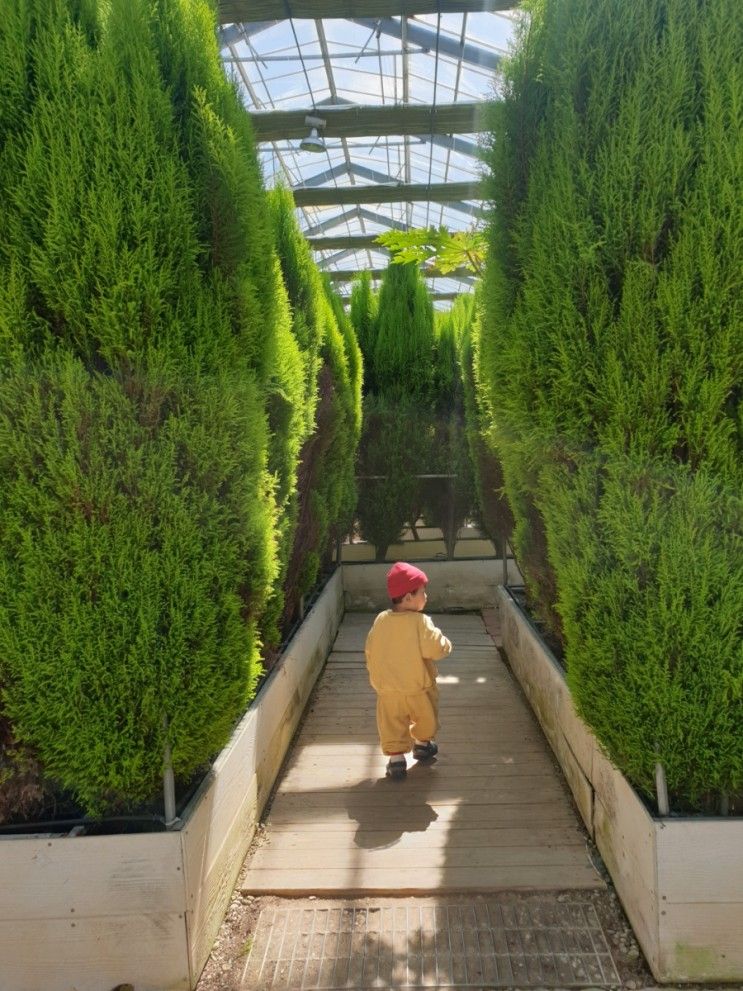 충남 아산 여행 세계꽃식물원 아이들과 나들이 저녁엔 공세리 성당