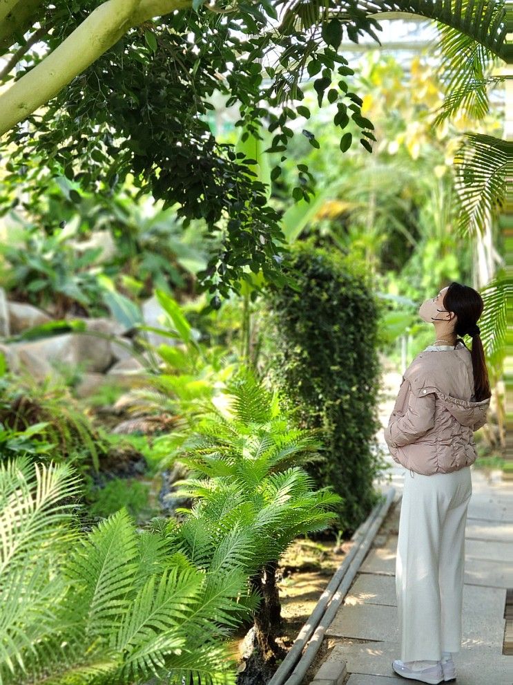 충남 4월 꽃구경 드라이브 가볼만한곳 아산 세계꽃식물원