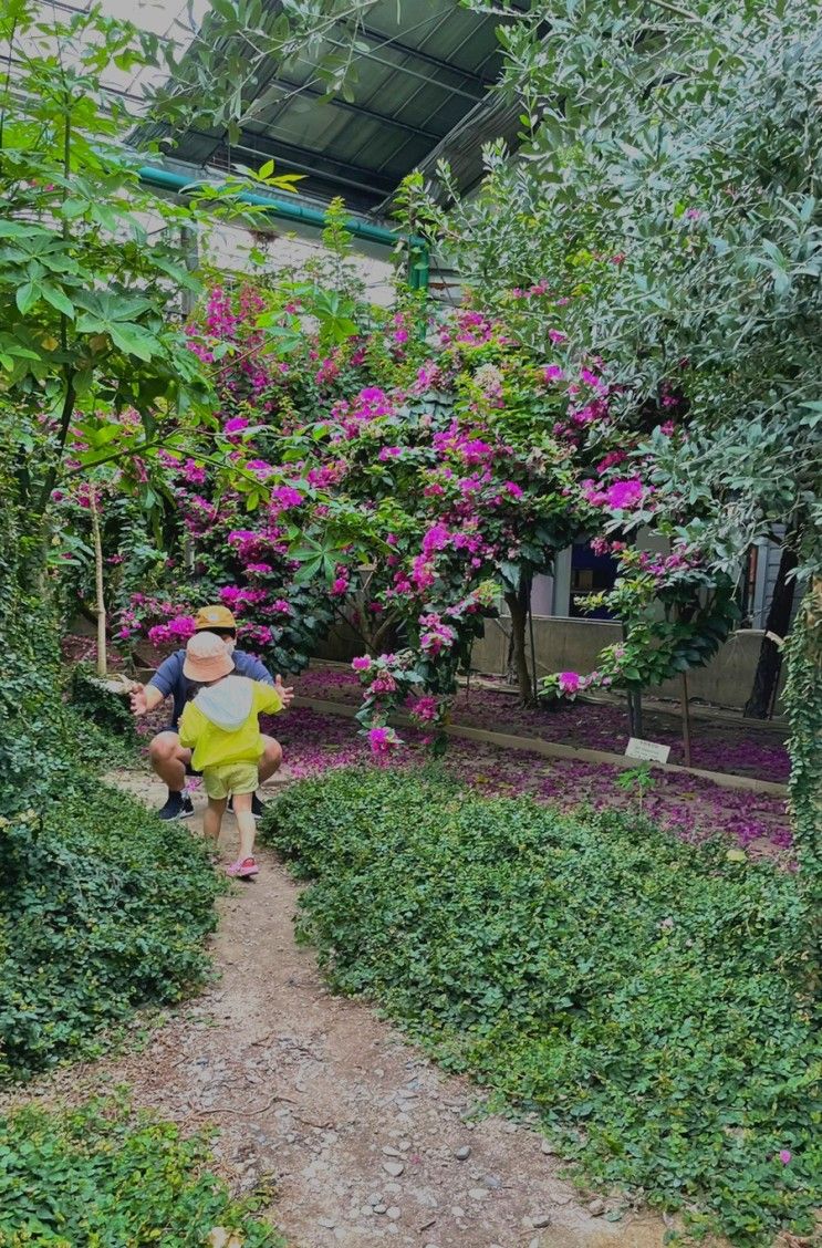 [아산가볼만한곳] 세계꽃식물원 방문 솔직후기(+입장료,운영시간,식물구매등)