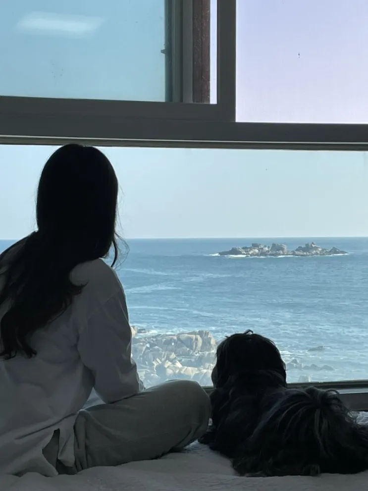 [강원도] 고성 애견동반 숙소 오션뷰 펜션 < 나폴리 하우스 >