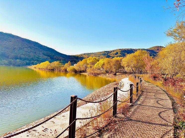 리뷰 #8] : 가을을 만끽한 충남 공주 펜션 '계룡산 사계절 펜션'