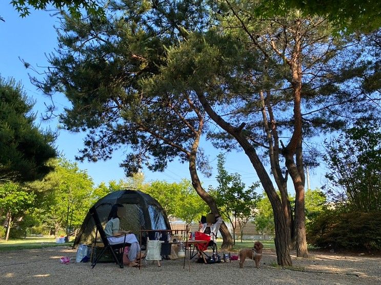 용삼이의 성공적인 첫 캠핑 : 계룡산사계절펜션 C8 후기