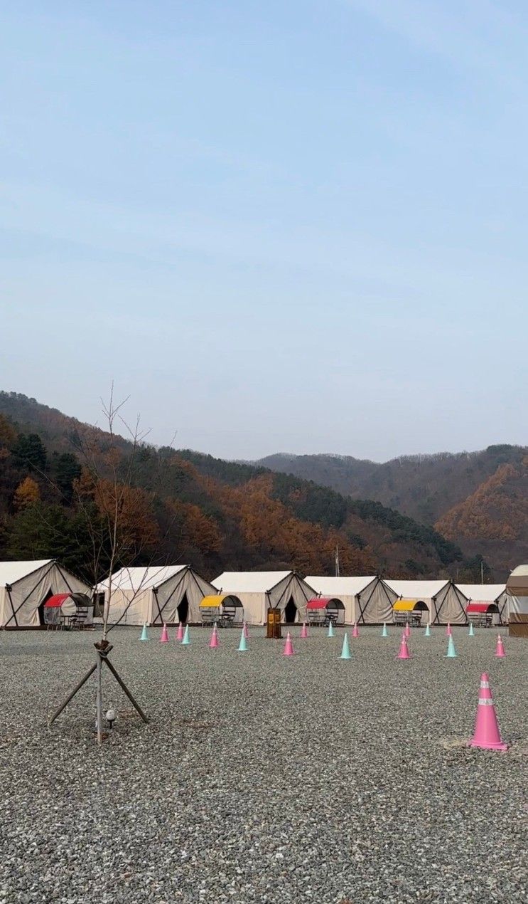 럭키하게 전세 글램핑 다녀온 후기: 가평 자작나무 글램핑...