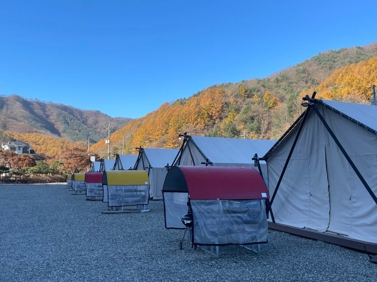 [경기도/가평] 7월에 오픈한 신축 글램핑장 / 오토캠핑 가능 / 산...