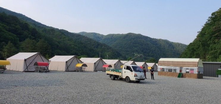 경기도 가평 자작나무@ 글램핑