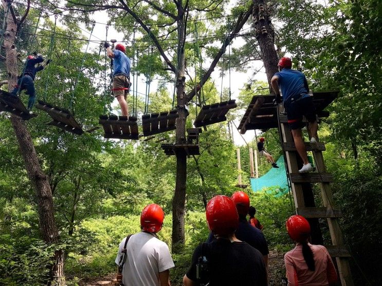 깊은산속다람쥐,용인서바이벌,용인펜션에이펜션