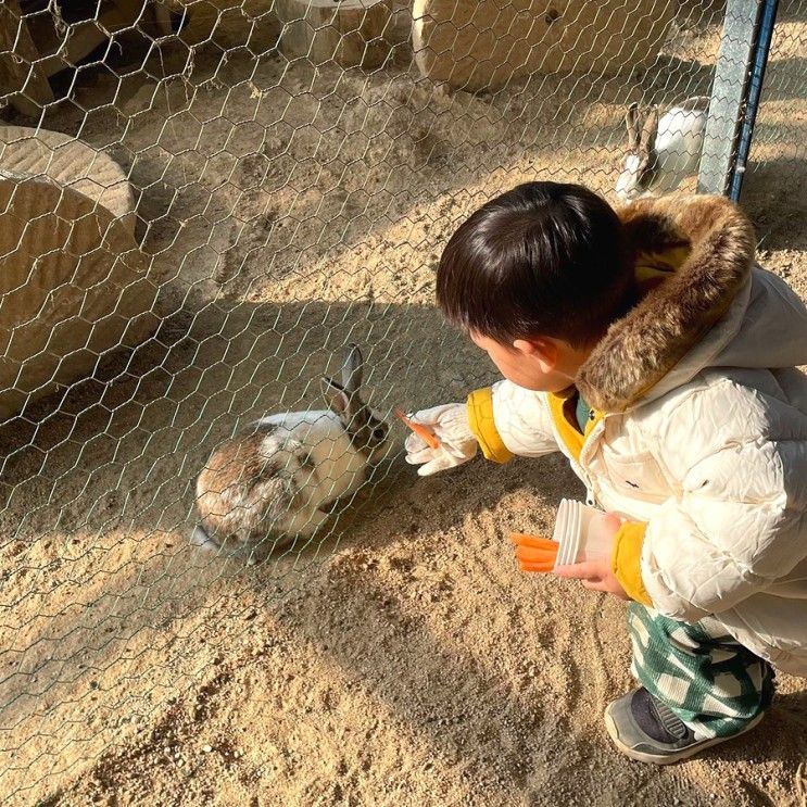 아기랑 파주 글램핑장 동화힐링캠프 트레일러 하우스 동물원...