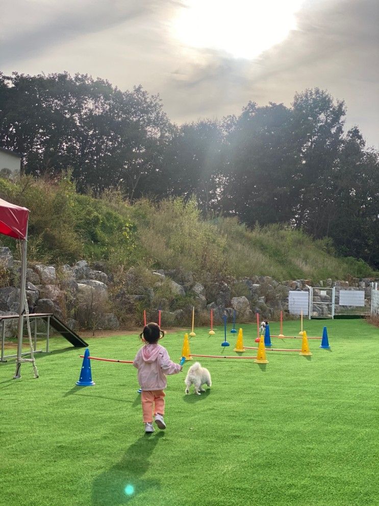 파주 4살 아이랑 다녀온 애견동반가능 글램핑 동화힐링캠프