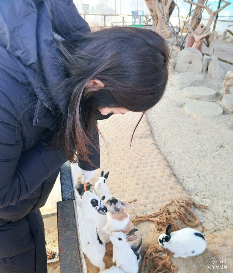 경기도 파주 글램핑 캠핑장 동화힐링캠프 불멍 룸서비스 만족!