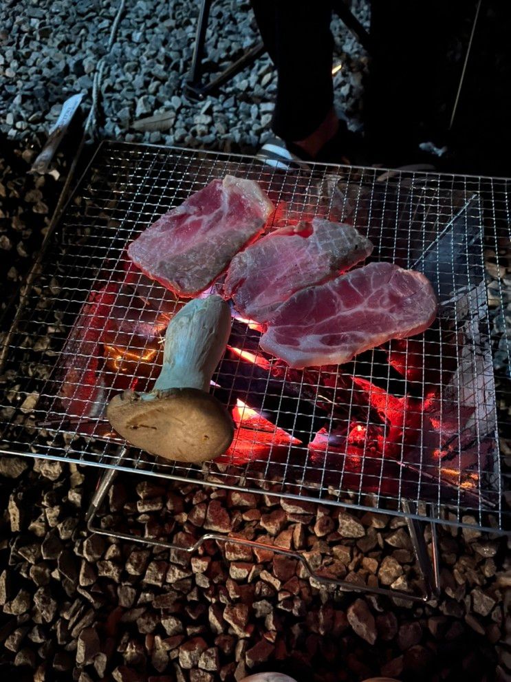 춘천 오토캠핑장 숲속에머물다 추천