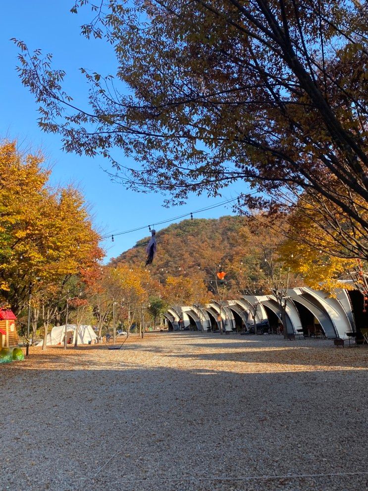 [ 춘천 글램핑｜숲속에 머물다 ] 아주 성공적이었던 첫 글램핑