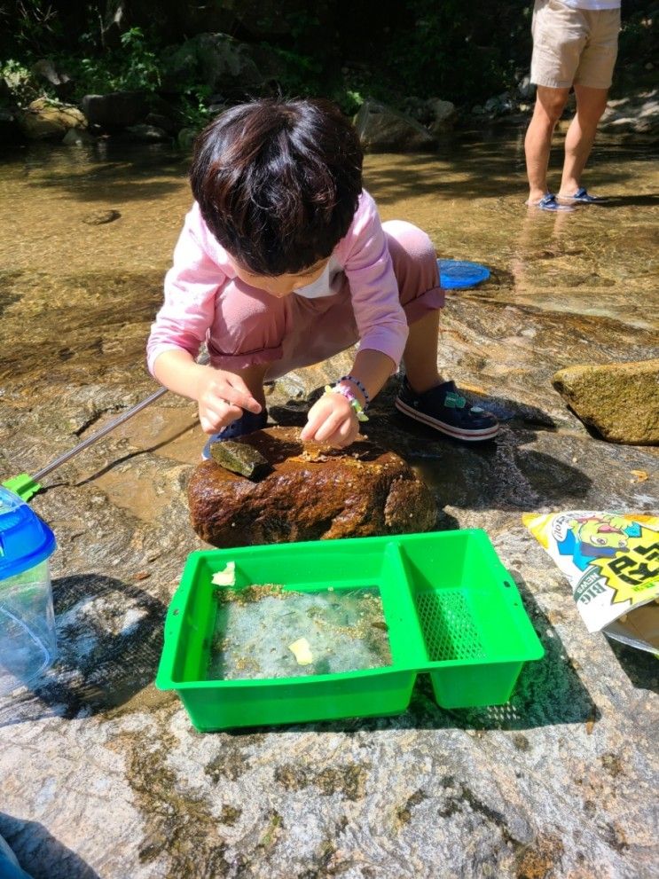 여섯번째 캠핑 - 가평물골숲계곡오토캠핑장