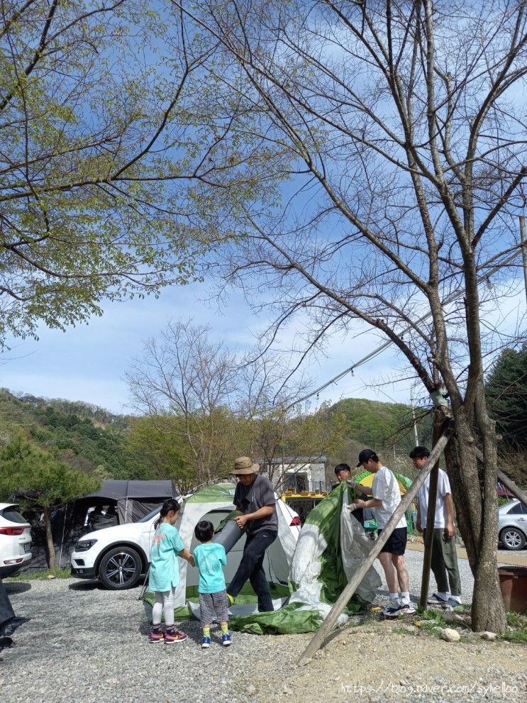 가평 캠핑장 추천, 애견동반 물골숲계곡오토캠핑장