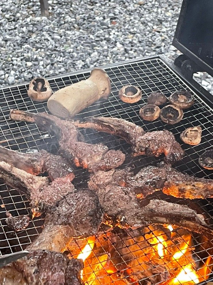 [포천 숙소] 노블글램핑 리얼후기!(장마철 미리예약은 추천하지...