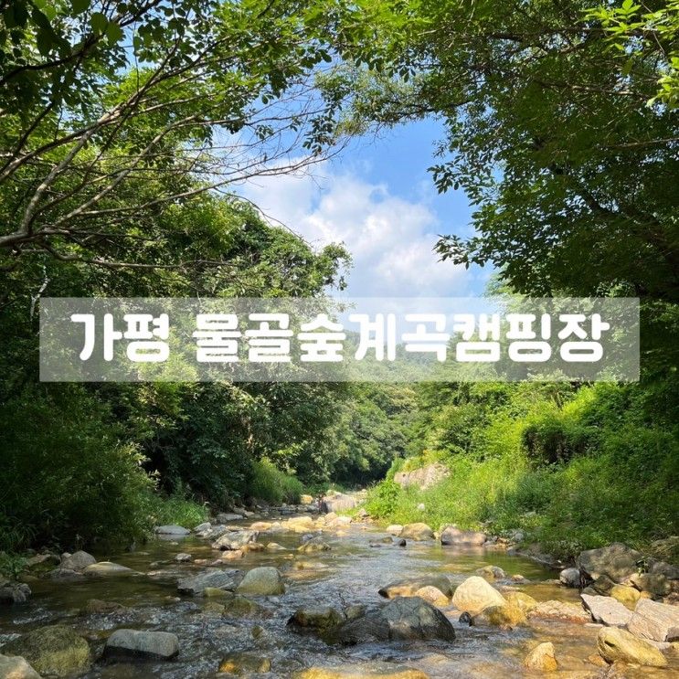 캠핑기록 | 가평 물골숲계곡캠핑장 벚꽃3 사이트 후기