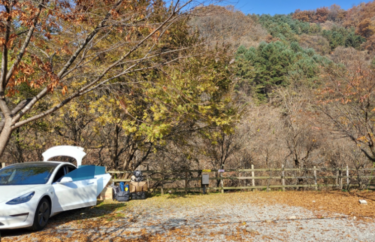 가평.. 물골숲계곡캠핑장..  전.. 벚꽃3 추천해요~