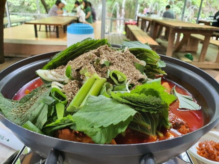 서산 가볼만한곳 용현계곡 아기랑 갈만한곳!
