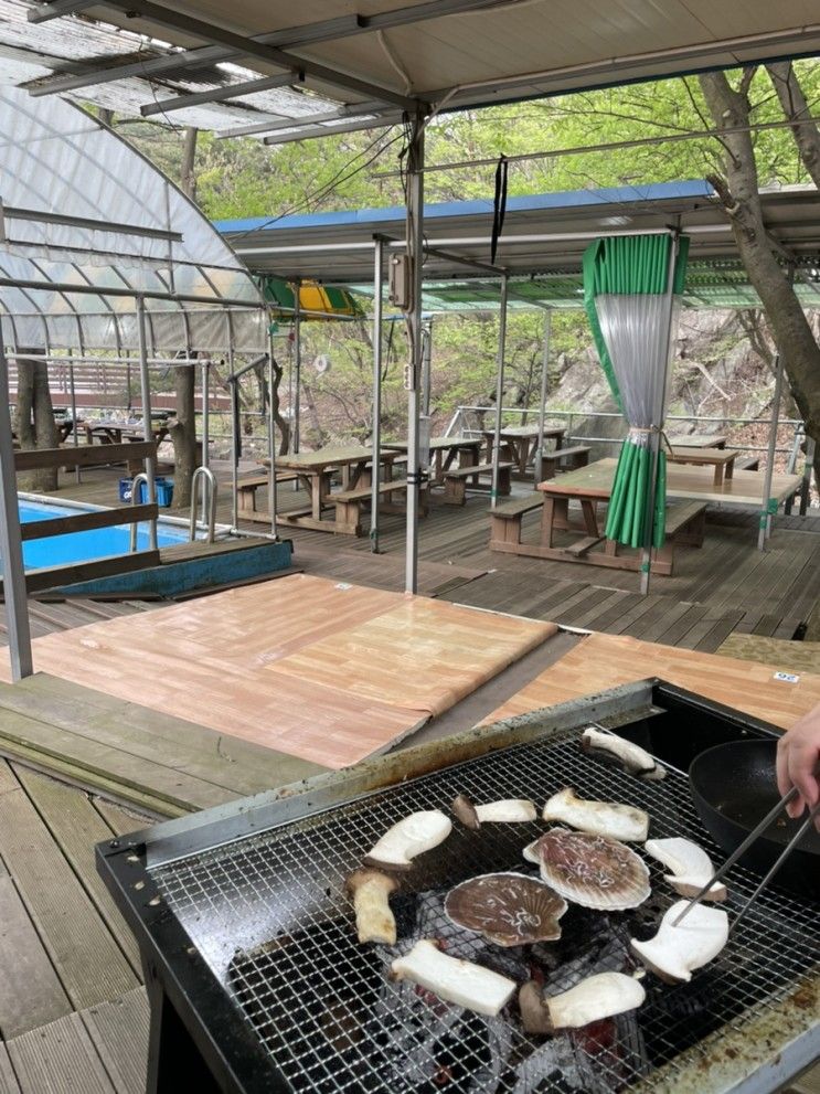 서산숙소 운산면 개울가펜션 , 용현계곡 및 서산 겹벚꽃 스팟...