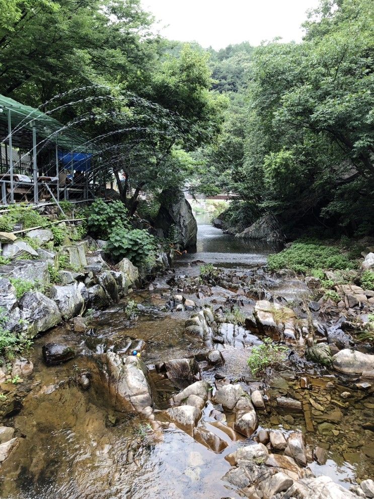 당진 서산 용현계곡 맛집 강댕이집 토종닭백숙 개울가팬션