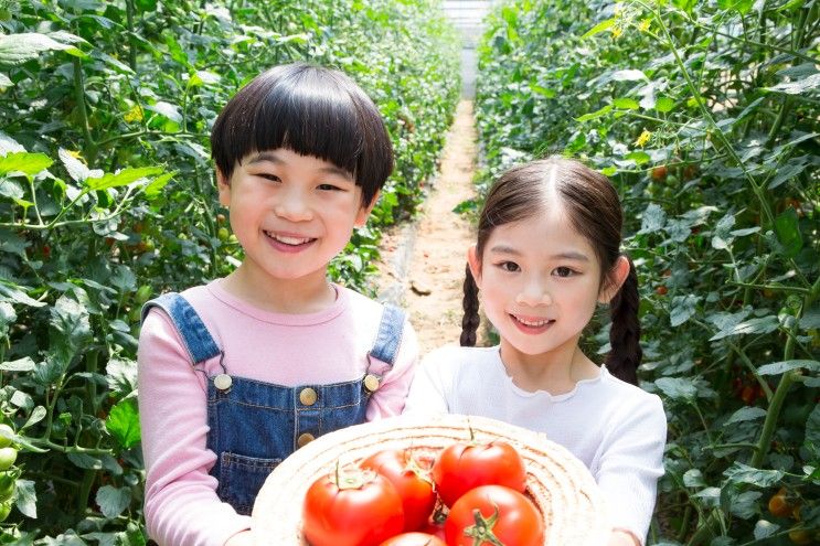 평택 어린이농장 체험과 소중함을 알려주세요!