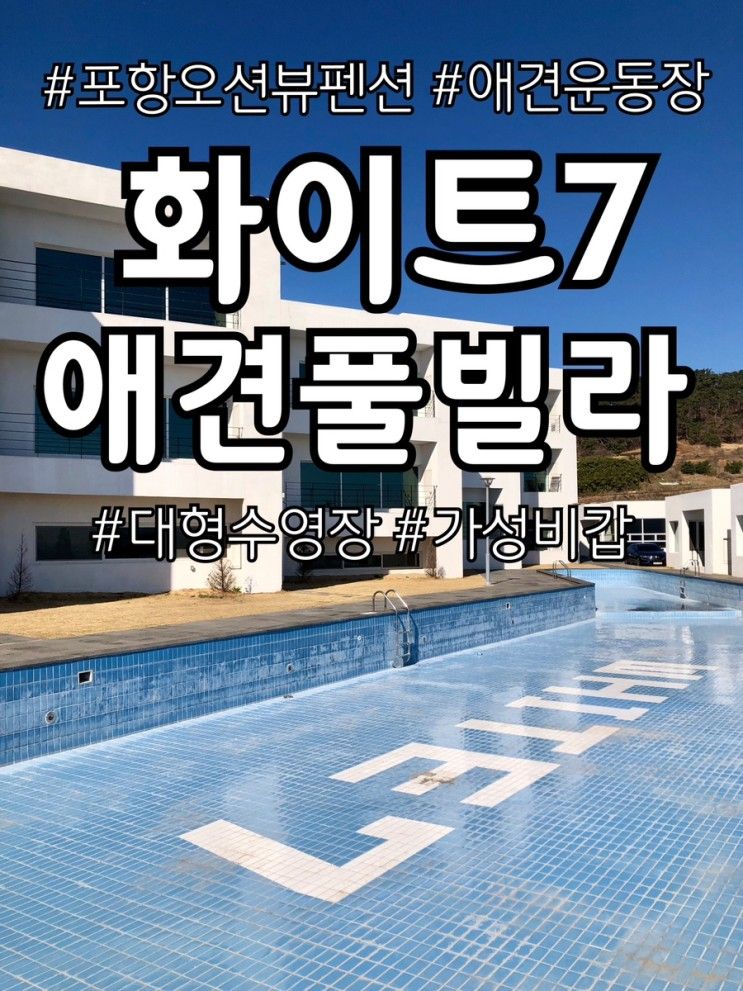 [포항] 가성비 펜션을... 스파까지 가능한 <화이트7 애견풀빌라>