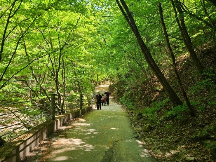 춘천 청평사관광지(22.4~5) - 청평사국민관광지, 부용가든, 숲커피 우유빙수, 산책로, 아이와 나들이, 계곡 및 주차