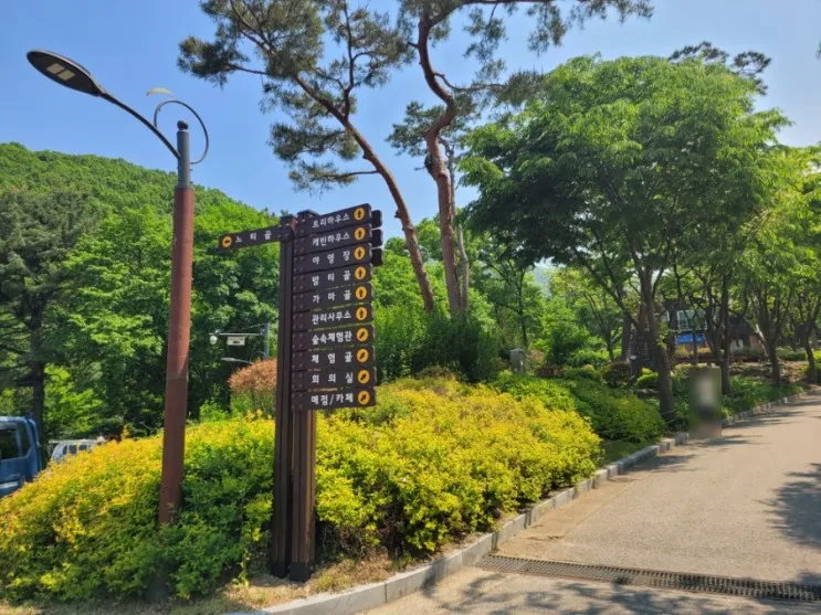 용인자연휴양림 봄에 아이랑 나들이로 추천