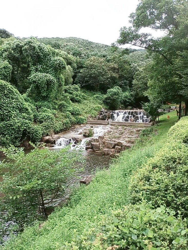 용인펜션 휴양림하우스에서 힐링하고 왔어요!