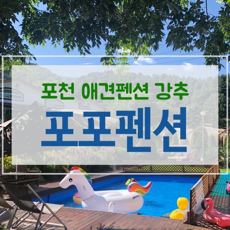 [애견동반펜션]찐강추 수영장과 천연잔디가 있는 : 포천 포포펜션