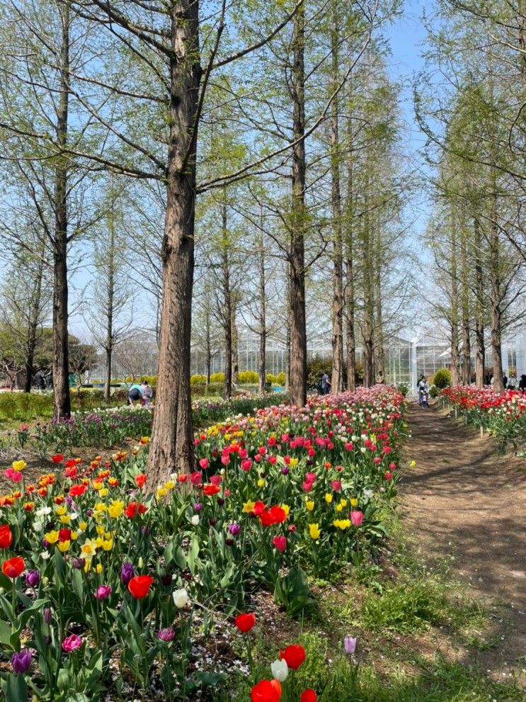 충남 아산 세계꽃식물원, 아이와 가볼만한 곳, 식물도 구입