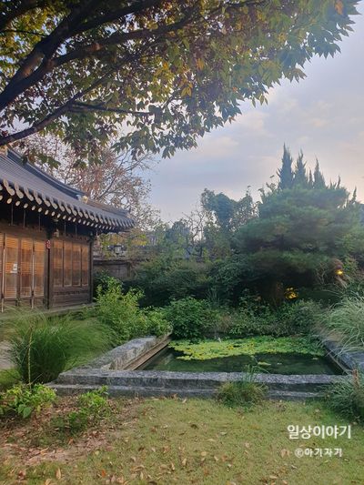 [전주 동락원] 포토스팟이 있는 한옥숙소와 족욕카페