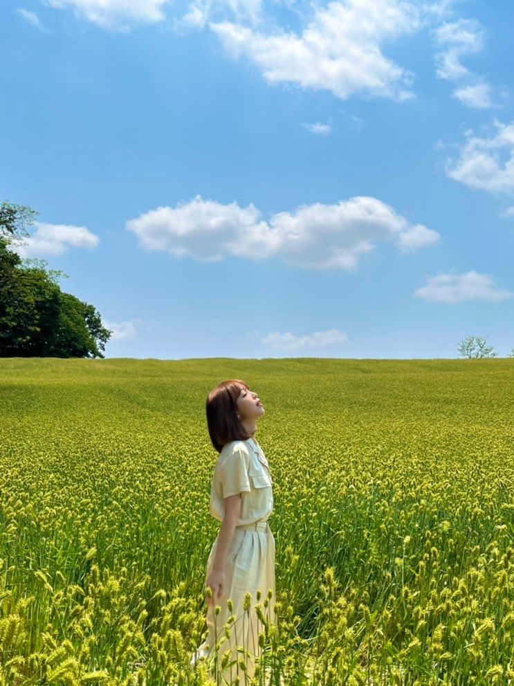 [당진 여행] 당진 카페 '피어라' / '러빙유 카라반 캠핑장' 후기