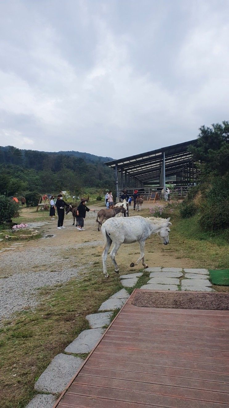 아이와뭐하지, 이천가볼만한곳, 동키동산, 스카이밀크팜