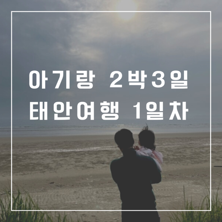 21개월 아기랑 태안여행 1일차 : 샤론펜션, 청포대해수욕장...