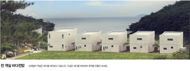 결정/ 태안 안면도 힐링여행/ 자쿠지가 있는 펜션 코모빌라펜션
