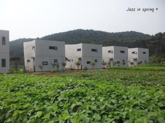 모던한 느낌 안면도 코모빌라 / 바다가 보이는 펜션 코모빌라