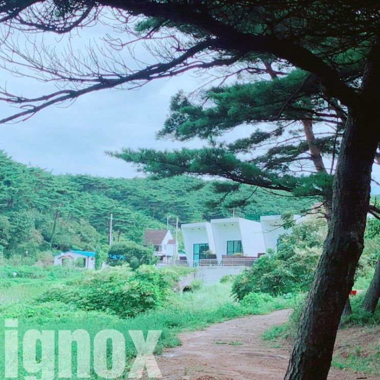 안면도여행/충남태안군/풀빌라체험기/가족여행/커플여행/코모...