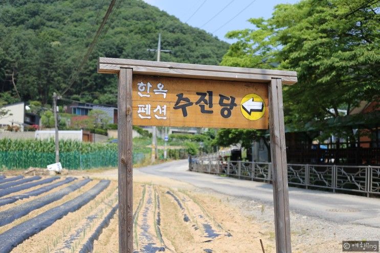 용인펜션 [한옥펜션 수진당] 물놀이부터 바베큐까지...