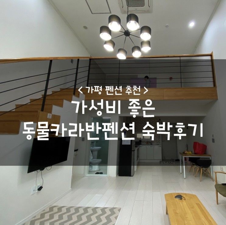 가평 펜션 추천 :: 가성비 좋은 동물카라반펜션 숙박 후기