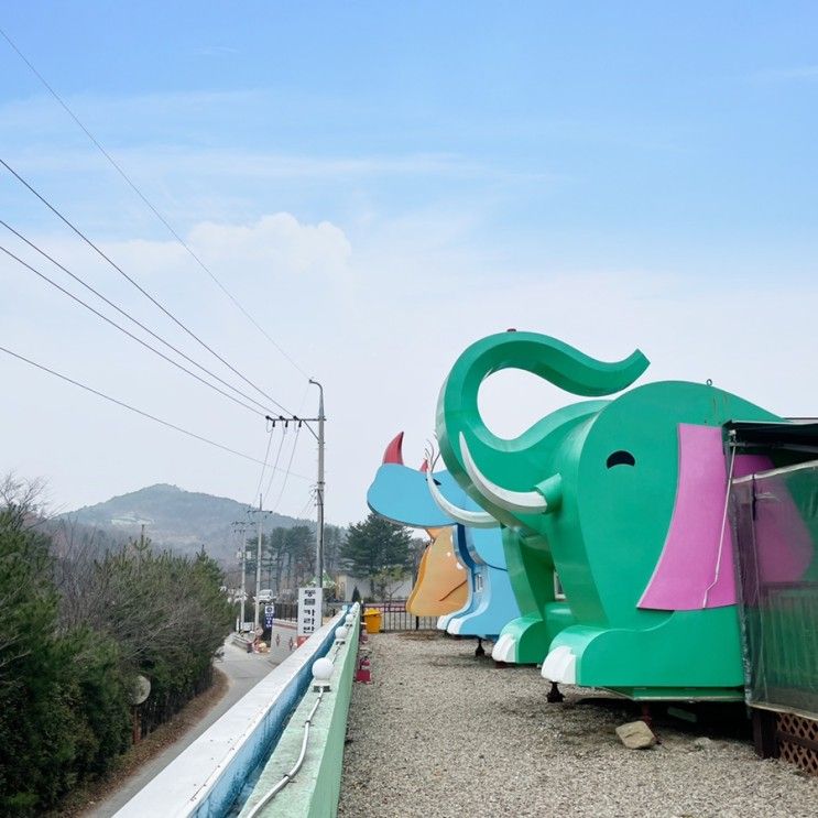 가평 글램핑 : 동물카라반펜션 글램핑 가성비 굿 !