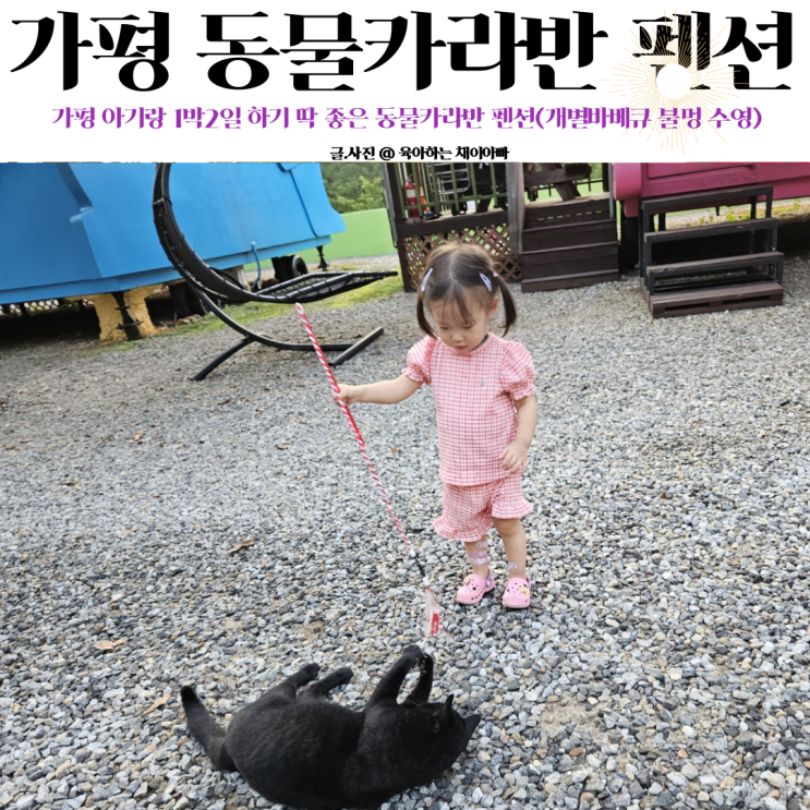 가평 동물카라반 펜션 (가평 아기랑 가기 좋은 펜션 사장님 같이...