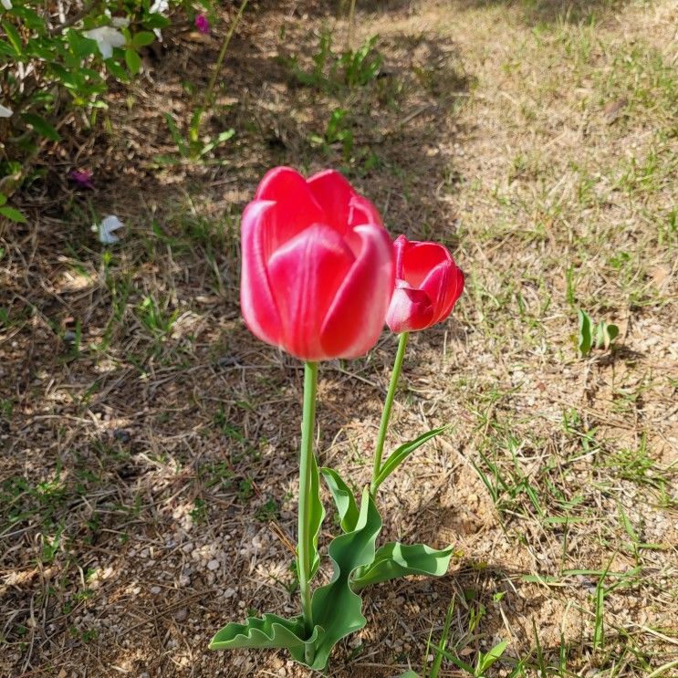 제천 청풍호 펜션의 보석 - <블루밍데이즈>